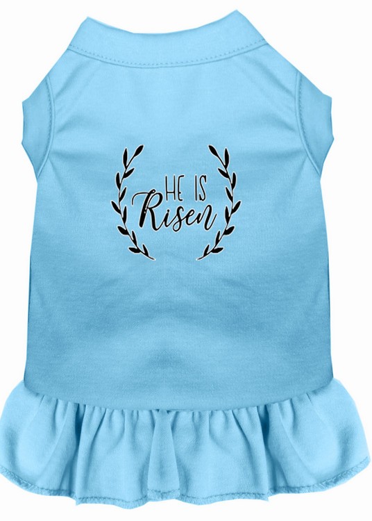 He Is Risen Screen Print Dog Dress Baby Blue Med